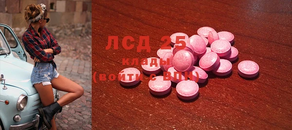 ГАЛЛЮЦИНОГЕННЫЕ ГРИБЫ Краснослободск