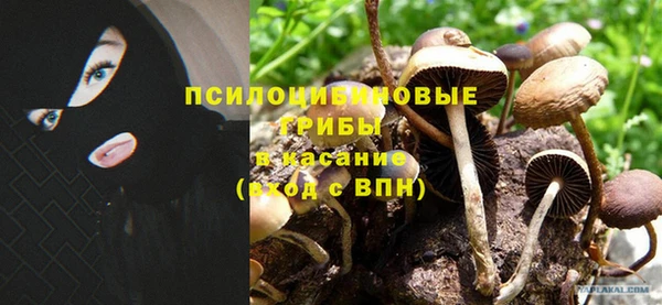 бутират Краснотурьинск