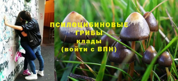 СК Красноперекопск