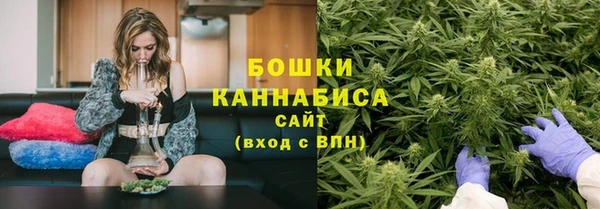 ГАЛЛЮЦИНОГЕННЫЕ ГРИБЫ Краснослободск
