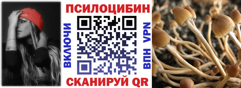 Купить где  Камызяк  Галлюциногенные грибы мицелий 